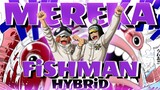 Shachi dan Penguin adalah Fishman Hybrid | One Piece 1064