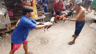 Jan 26 2025 Talisayin 3GS vs Pula