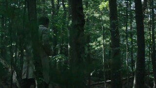 The See Of trees,Full Movie Subtitle Indonesia,Bertahan Hidup di Tengah Hutan AOKIGAHARA