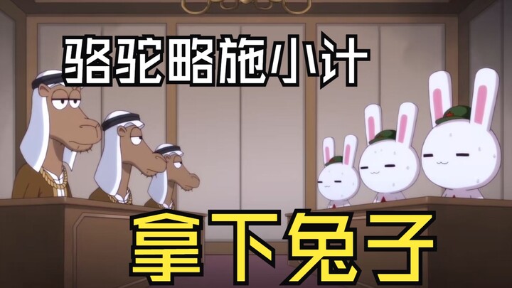 Unta: Kelinci itu galak banget? Lihat aja sesi pengajaran negosiasi dari aku!