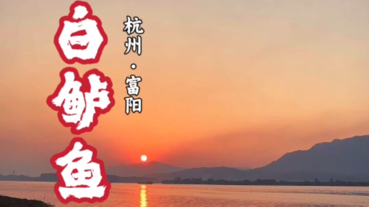 #杭州美食 #富阳美食 #白鲈鱼 但爱鲈鱼美~~