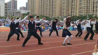 【猛男版】新宝岛 UP主女装跳C位