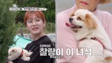 Dogs are Incredible Ep 4