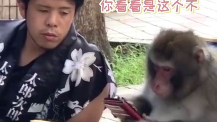 Mereka sepertinya bisa berkomunikasi dengan lancar, agak mirip satu spesies, tapi masih kurang yakin