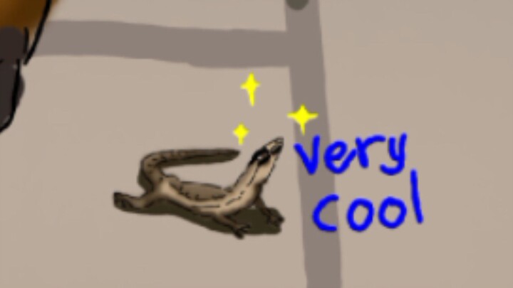 So cool lizard kun