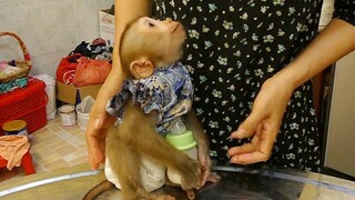 Cute Baby Maya Hug Bottle Milk Negotiate To Grandma, Maya Tell Mama Don't Leave Her Alone
