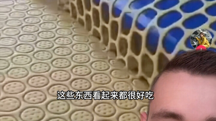 Satisfying Factory Work