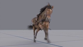 [Animation] Smooth Horse Run Cycle Animation