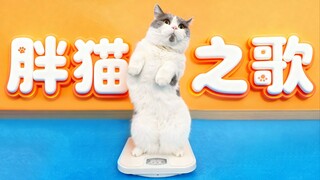 Fat Cat Song