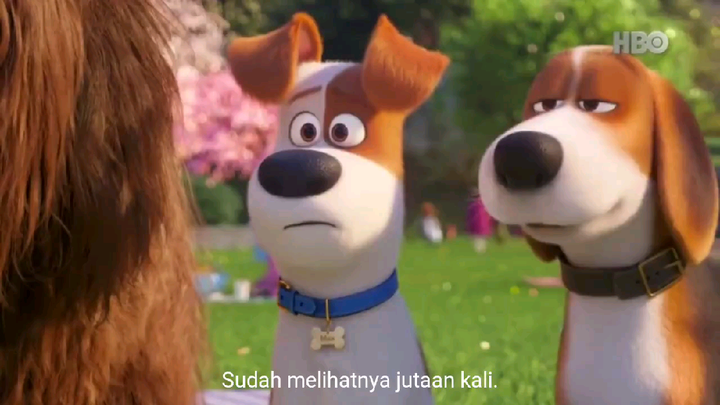 The Secret Life of Pets 2 | Dub Indo