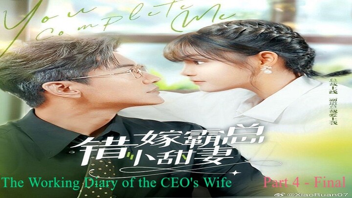 The Working Diary of the CEO's Wife -  Part 4 - Final