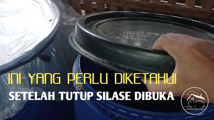 Daya tahan silase setelah dibuka tutupnya