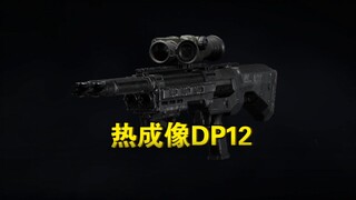 热成像DP12