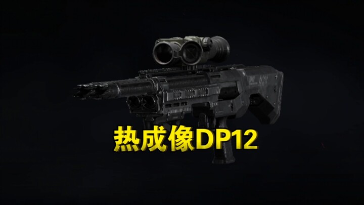 DP12 ảnh nhiệt