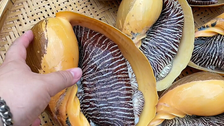 Masakan Thailand: Keong kelapa raksasa, keong berharga yang bisa mengeluarkan harta karun dalam seka