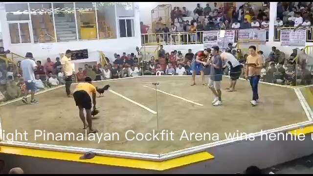 1st fight wins Pinamalayan cockfit arena