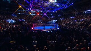 UFC
