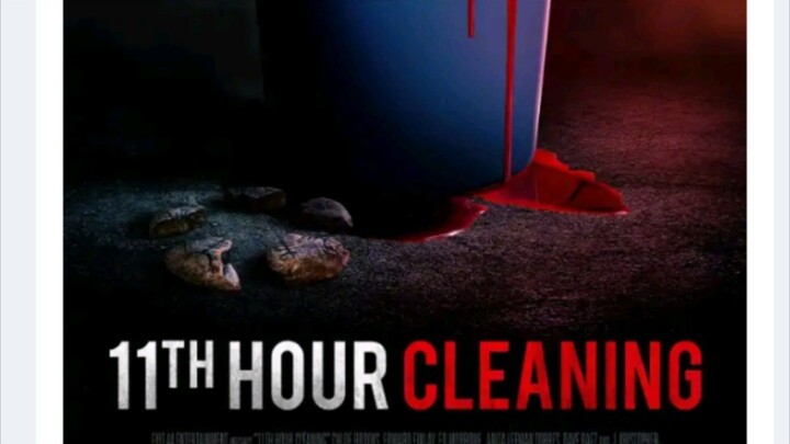 11th hour cleaning