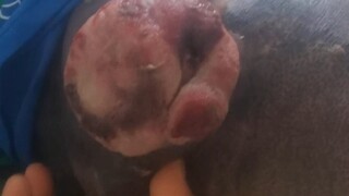 How heartbreaking it is to see parents' love and concern! Coming all the way to Shanghai, just the m