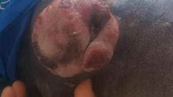 How heartbreaking it is to see parents' love and concern! Coming all the way to Shanghai, just the m