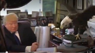 Although Trump's presidency is uncertain, the joy he brought to netizens during his four years in of