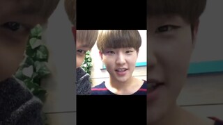 Cute 🐯😼 #seventeen #hoshi #jun