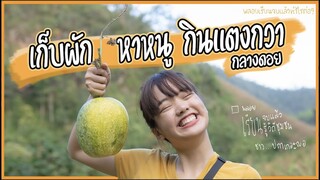 ทดลองใช้ชีวิตแบบชนเผ่าปกาเกอะญอ  | บ้านโปกกะโหล้ง