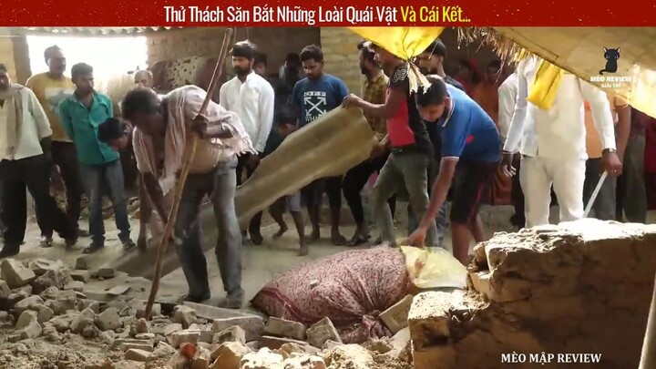 Người Dân Vô Tình Phát Hiện Con Rắn Hổ Mang Khổng Lồ Chui Vào Nhà