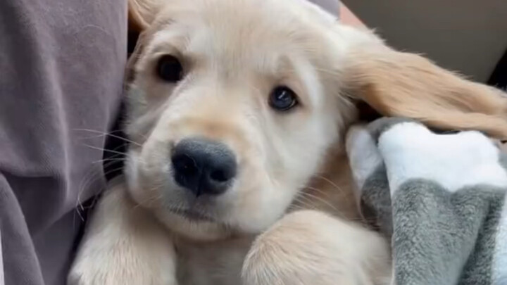 بعد مشاهدة الجثة، شعرت بالدفء