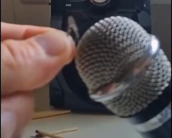 Lalat bernyanyi adalah sesuatu yang jarang terjadi dan sulit untuk dijumpai