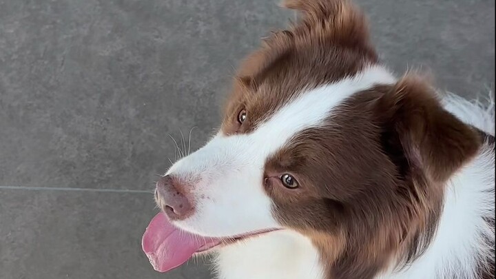 Yuzai: Bad memories are starting to haunt me