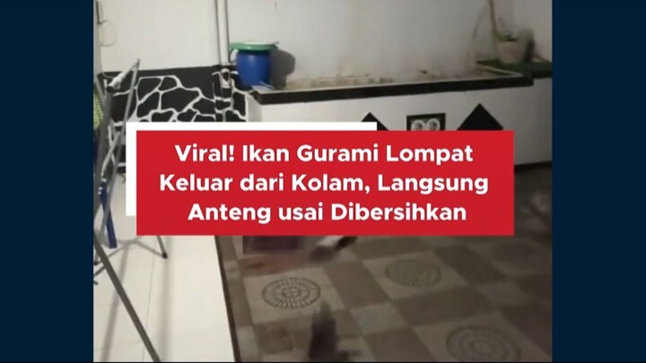 #beritaterkini #news #peringatandarurat #fyp