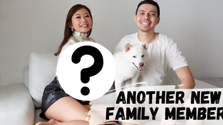 [Vlog]Welcoming Another New Family Member