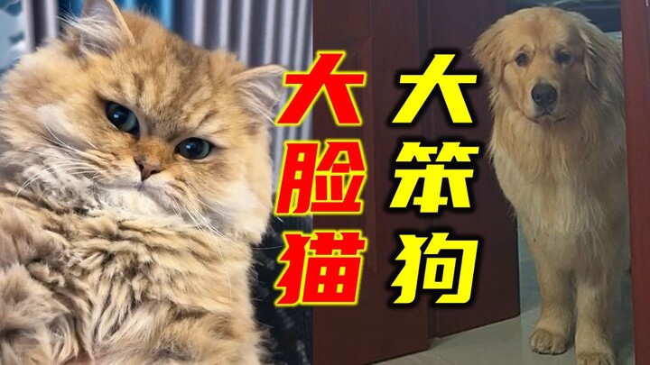 After falling ill, the baby has become increasingly scatterbrained and is now looked down upon by Xu
