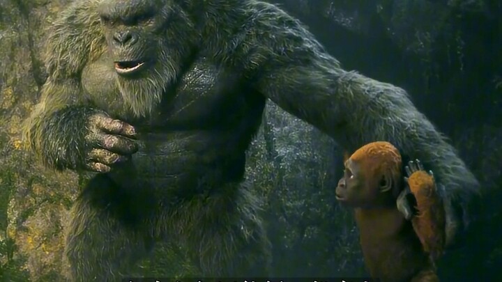 Why is the King Kong stronger than other gorillas?