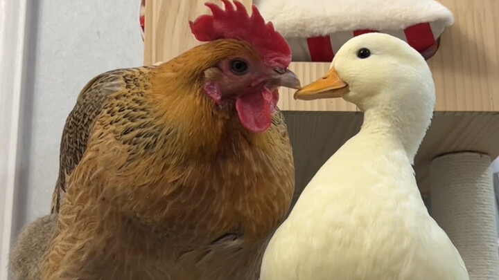 You two are already a bit flirty with each other.