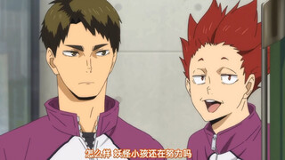 Saya sangat menyukai cara mereka rukun//Ushijima Wakali dan Tendou Kaku