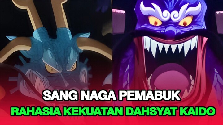 KAIDO MASIH HIDUP?!