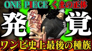 【ワンピース最新話】「特殊な種族」と実は最近ひっそりと描かれている◯◯について【1064話-エッグヘッド研究層-】