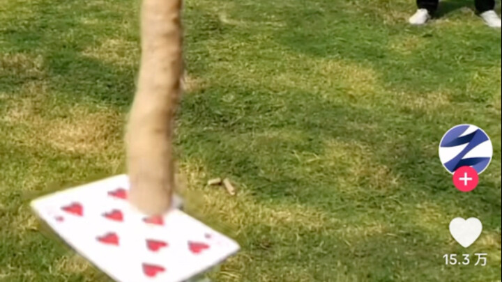 Foreigners on TikTok don’t believe playing cards can cut through things.