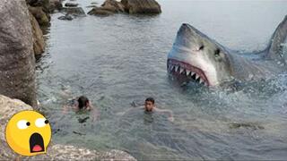 4 SCARY Shark Attacks CAUGHT ON CAMERA