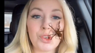 蜘蛛滤镜恶作剧：瞧把老公给吓的🕷