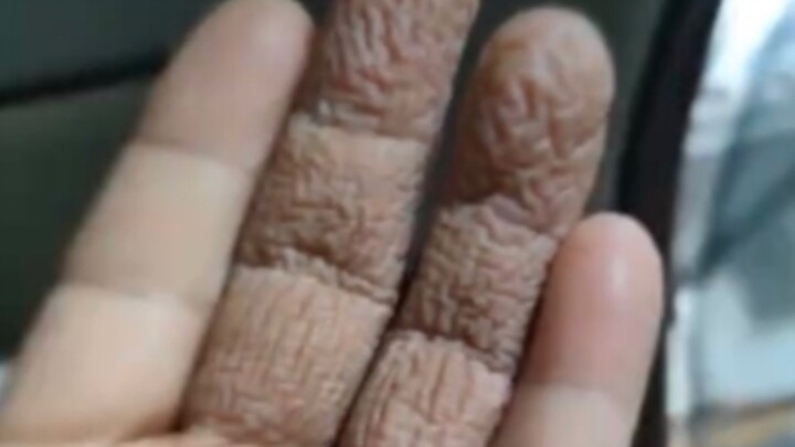 Cười rồi thì phải giữ cho tay luôn ẩm nhé [Tổng hợp Meme] #88