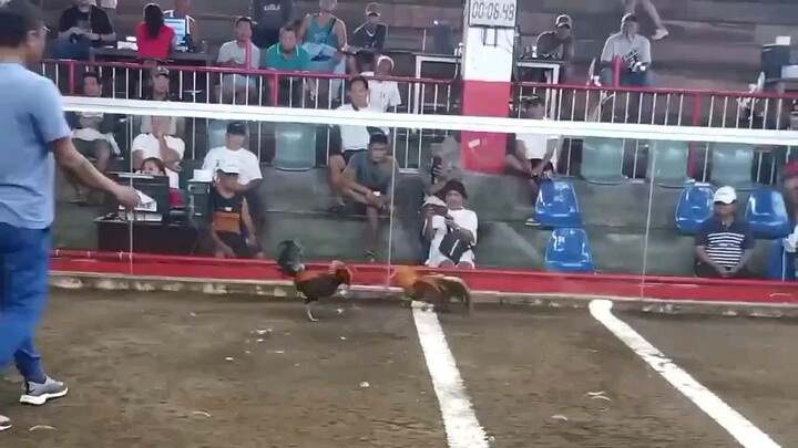 SANDUGO JRF TAAL COCKPIT CHAMPION