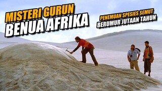 PARA PENELITI MENEMUKAN SARANG SEMUT PURBA BERUMUR JUTAAN TAHUN DI TENGAH GURUN AFRIKA !!