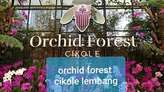 #travel #lembang || Orchid Forest Cikole Lembang Bandung