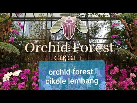 #travel #lembang || Orchid Forest Cikole Lembang Bandung
