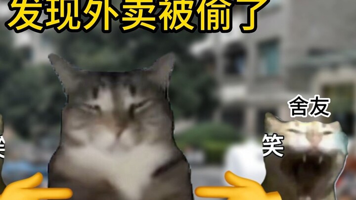 A Cat's Day of Having Its Takeout Stolen