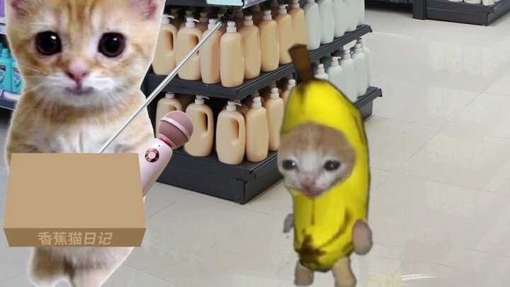 แมวกล้วยหอมเข้าร่วมการท้าทายบนท้องถนนของตุ๊กตาหลุด