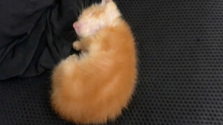 كيف يكون صغيرًا جدًا؟